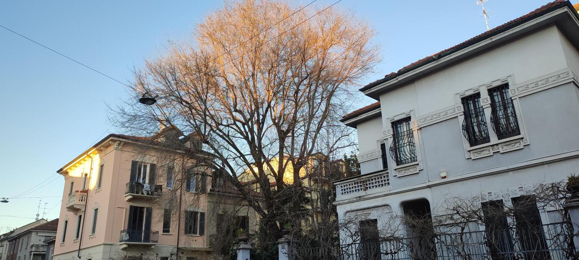 2 Minimal Homestay Milan